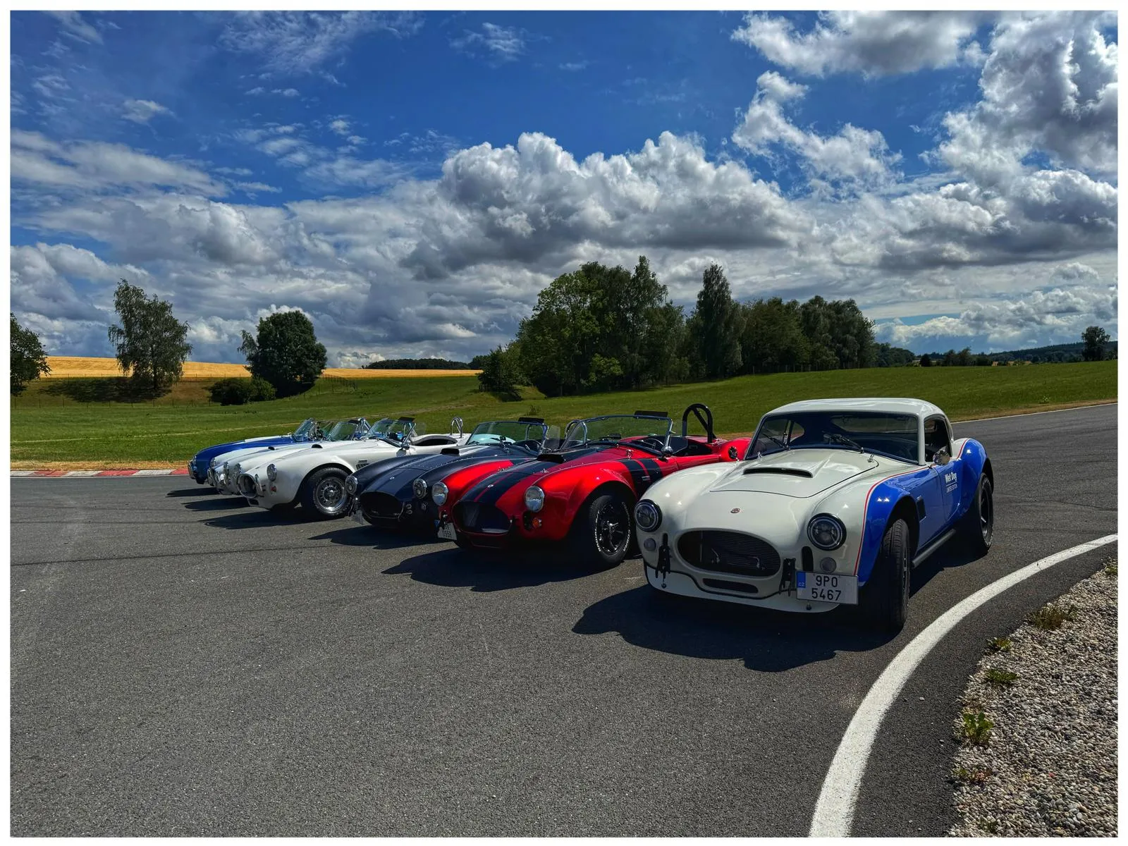 Shelby Cobra na cestách – foto 16
